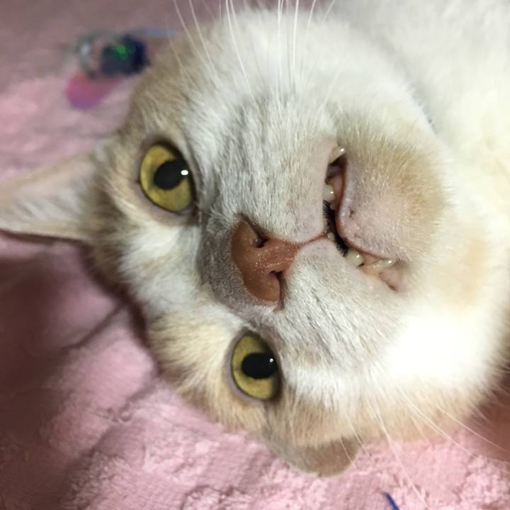 B1ecd213 d3f6 4d88 949f 56c4d14215dc