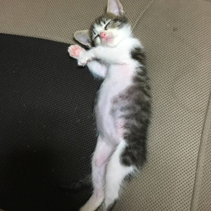 B1ecdd7b 9a12 4715 895d 16f68b314e16