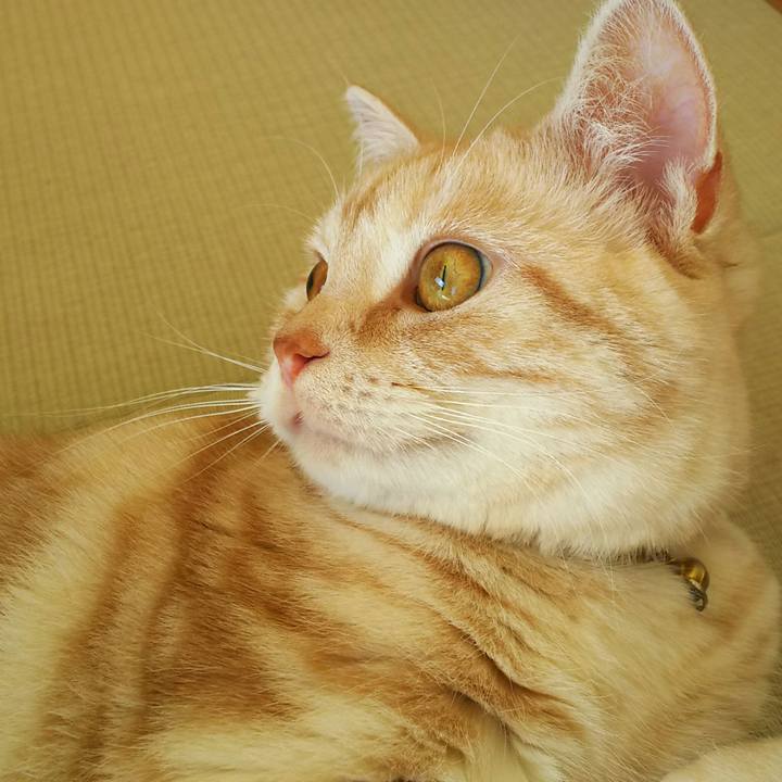 B1ece0c3 fdf6 43df b3cd bbbdec9fed4d