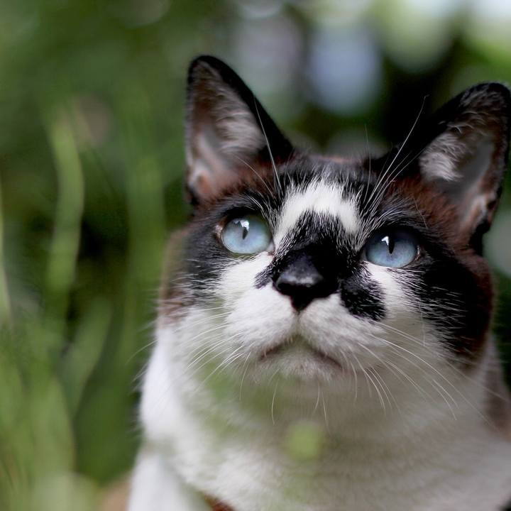 B1ed013b a6d2 47d4 967c 69755a6823a0