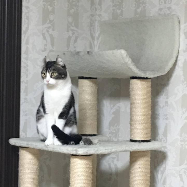 B1ed2c78 9ccd 477b b3bf 0a49655d850a