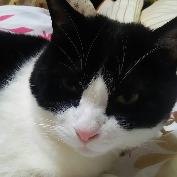 B1eee800 a61a 49ed a7a6 ae599a6d855f