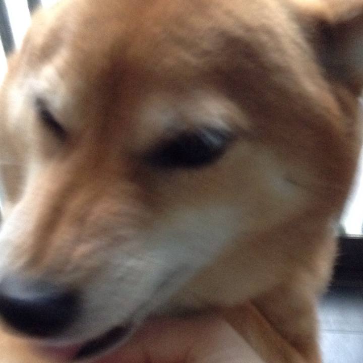 B1ef109a 47bc 4695 8cb5 833886d142f5