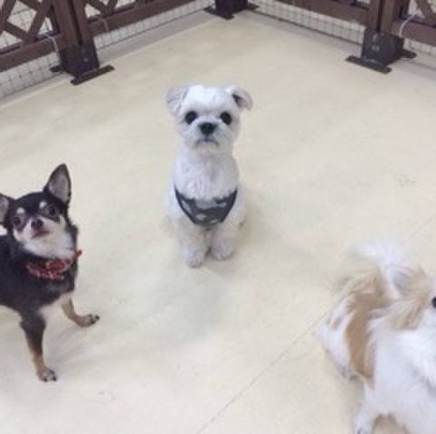 B1f0417f 73dd 403a aaf0 70079a86307b