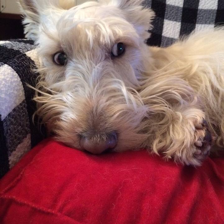 B1f05de1 4f32 4da8 b63c 7ac4ec8dc082