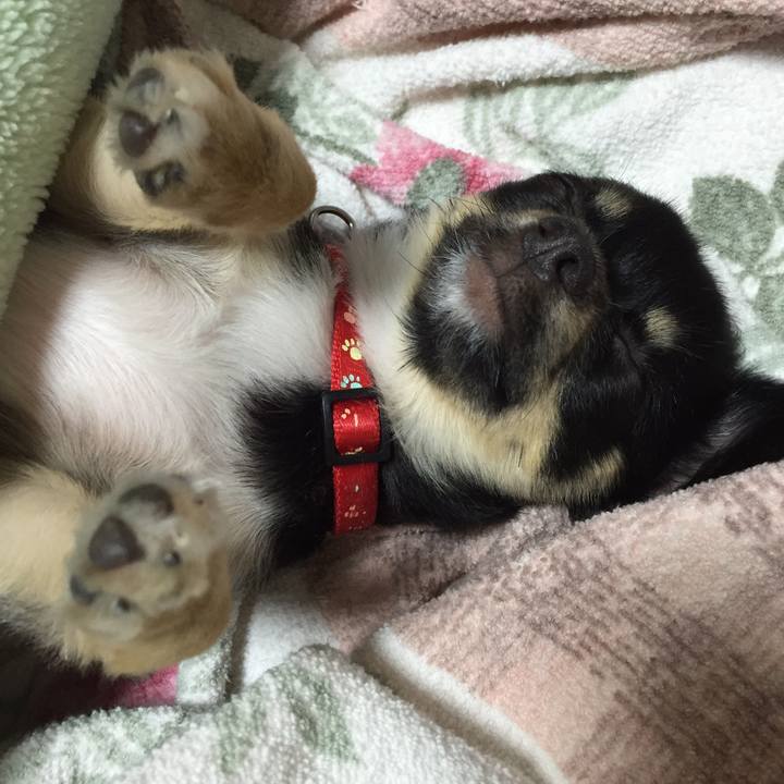 B1f05e91 c4a4 4159 9906 72d7449f894b