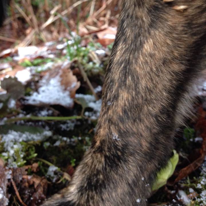 B1f0c240 ec4c 4733 82aa e5bb53abaea3