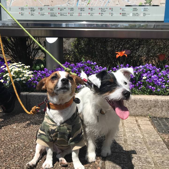 B1f0e50b c5fd 4471 bf58 fd4ece6bb9ec