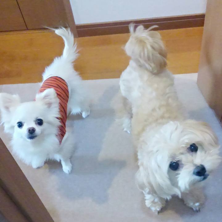 B1f11654 dd7c 490c 998c 3e81f480c31e