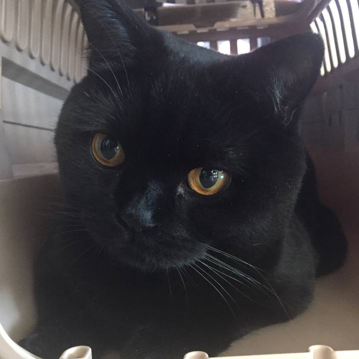 B1f192cc 1973 4aa8 a6e0 e5e77a63f011