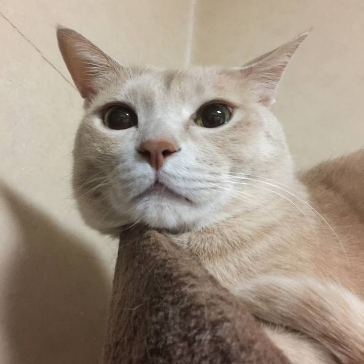 B1f1ce9f 19fc 4c65 8eb8 36b2059328cb