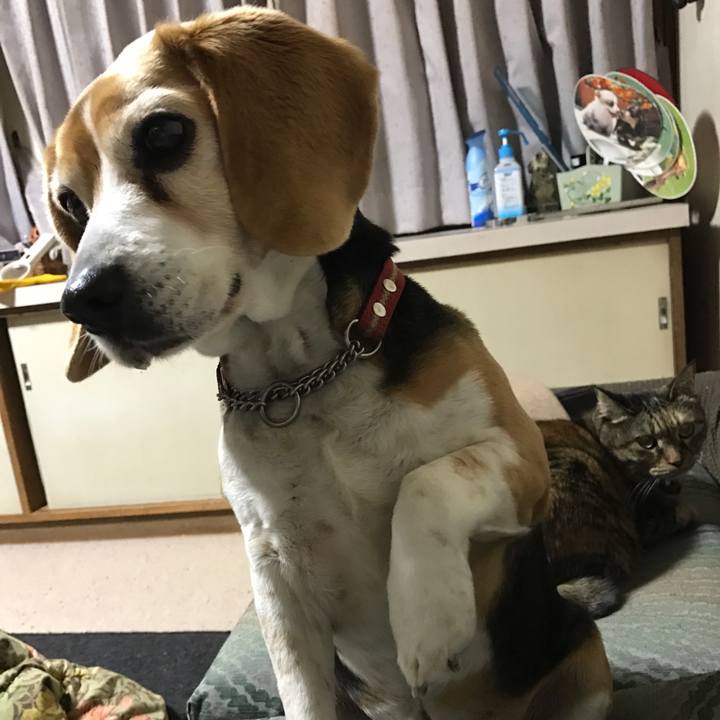 B1f1d146 a415 4812 906d 593615db2de2