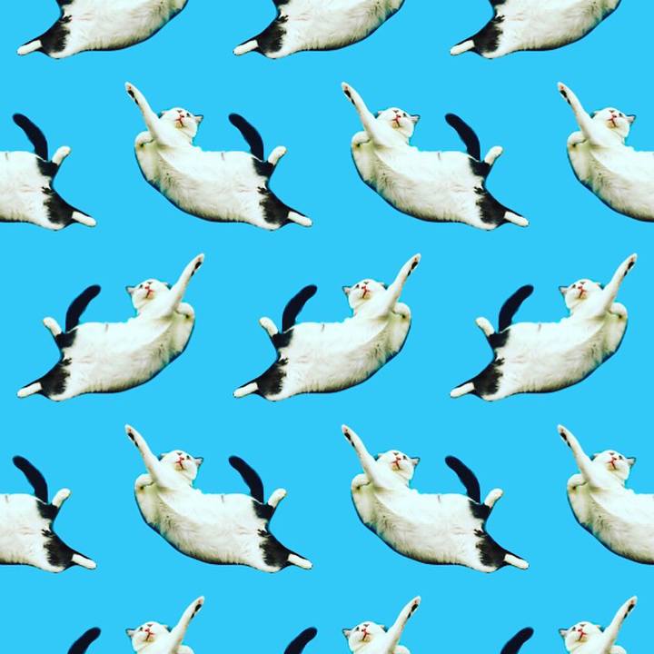 B1f1e605 e76f 447e 967f b410458904cd