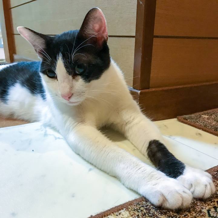 B1f2492d c48a 423e b4fc 0fc43b07ebd5