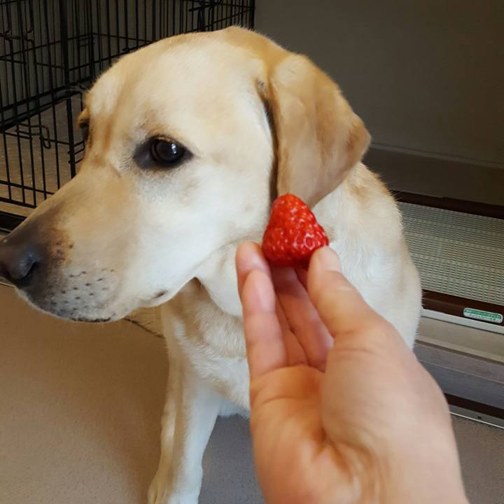 B1f27a24 db8f 43c3 bd0c 437c8328be6b