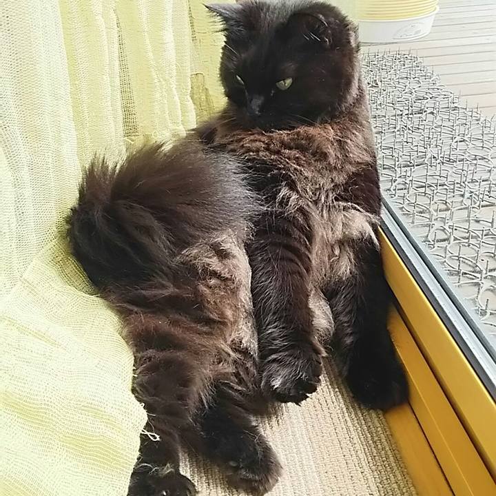 B1f2b8f6 f285 4a86 ad95 60e966d558c6