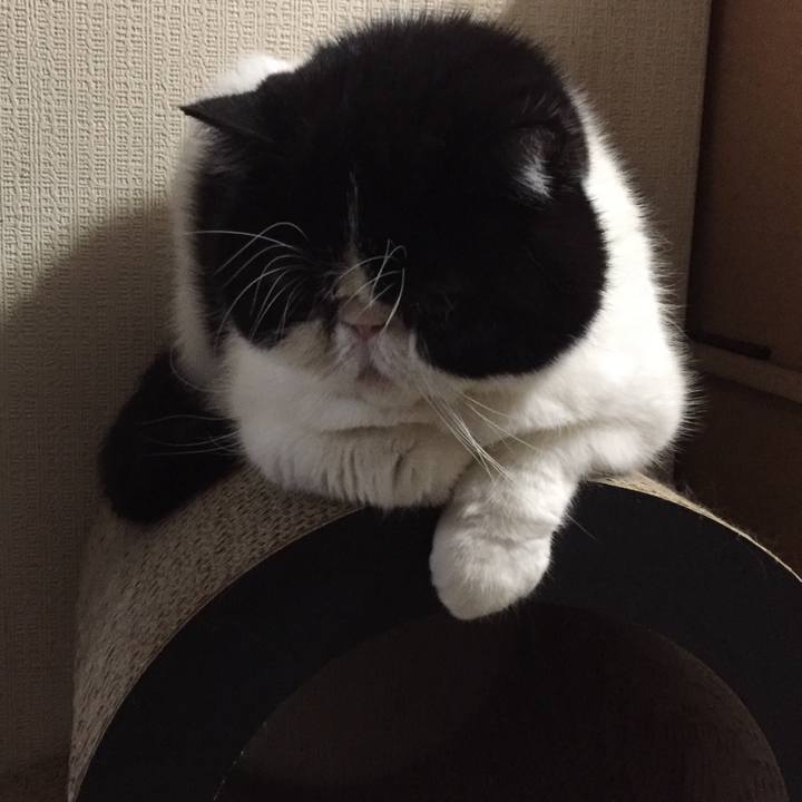 B1f2cf8c 23f0 44de 823c 1d417823c9db