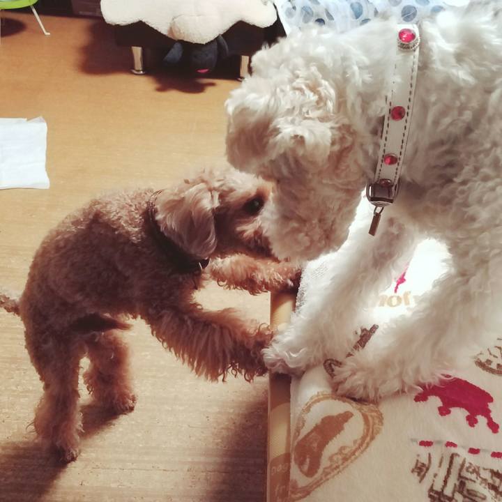 B1f2e3c9 2053 4b18 bd2e 20dc4564f890