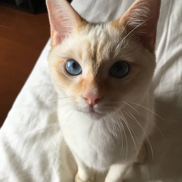 B1f327a4 5732 4623 95cd 75b37684e593