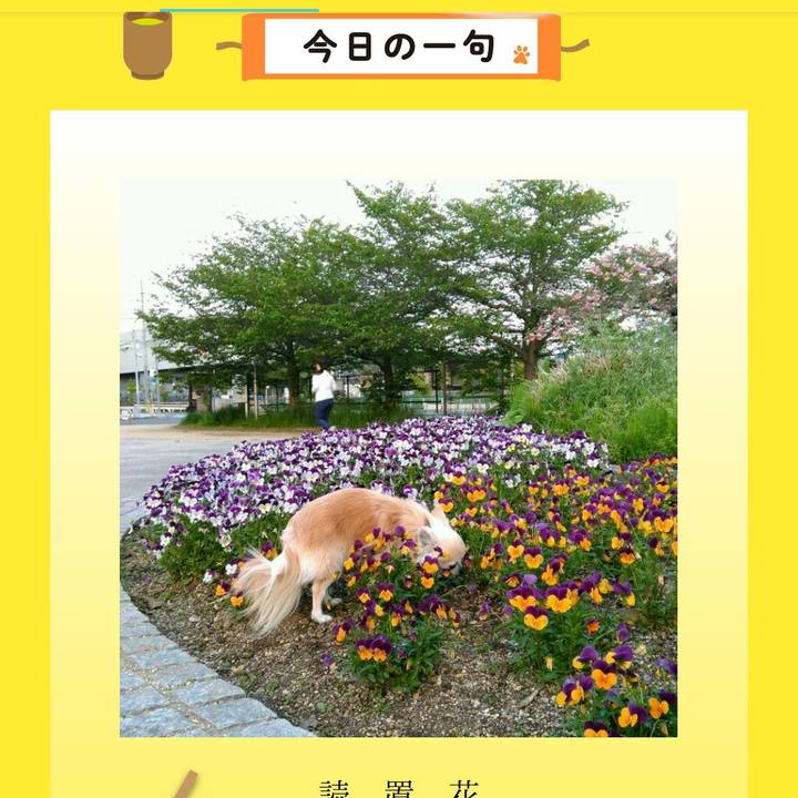 B1f40c3c b367 46bf b162 3a9816d4b84e