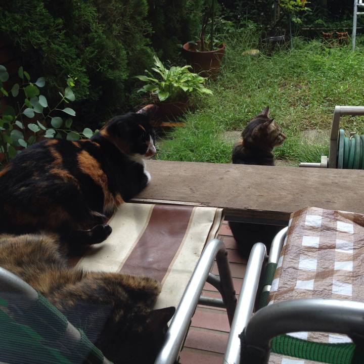 B1f41d8e 5088 43eb a4d2 b6819002ddef