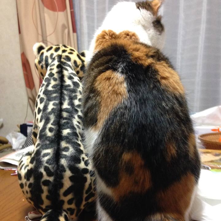 B1f53992 f807 40d9 8b05 a2c00944097b