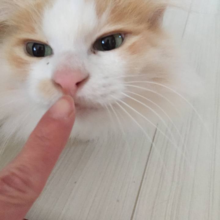 B1f59b50 f2ac 4141 80c1 5f098eafc0cd