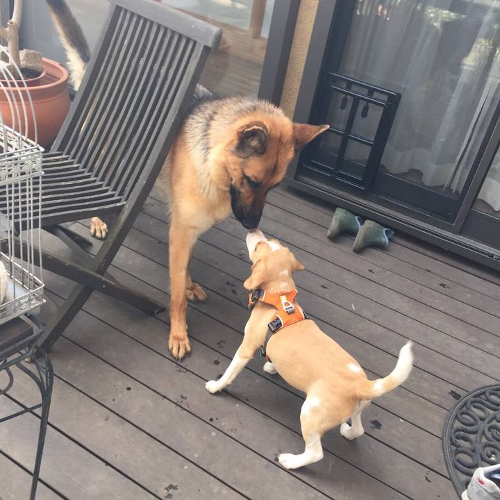 B1f60780 2151 4f7f 8846 90783d454f41