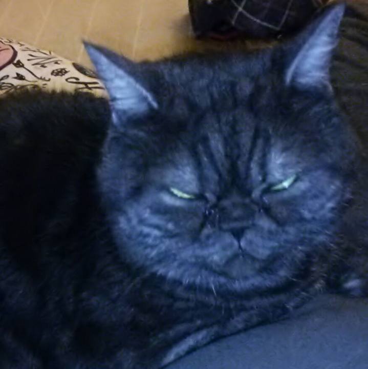 B1f75c72 fb2e 41fc 8c37 4a92c9fbd69c