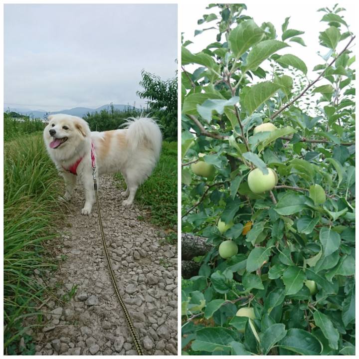 B1f77c12 4afc 44c4 bd84 483d8ec883b0