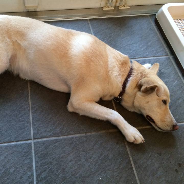 B1f7946e 55be 498c abec 2f92c9d023ee