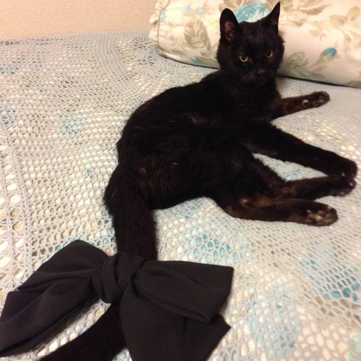 B1f7db7e 8606 46c6 9667 cb9e63d3d54b