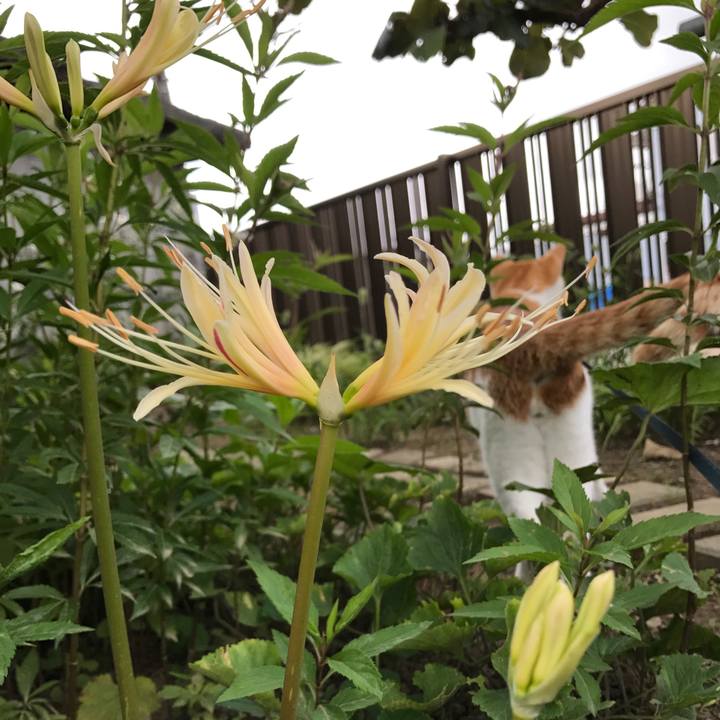 B1f87d6e ce63 4526 9aa8 6bf94c145f82