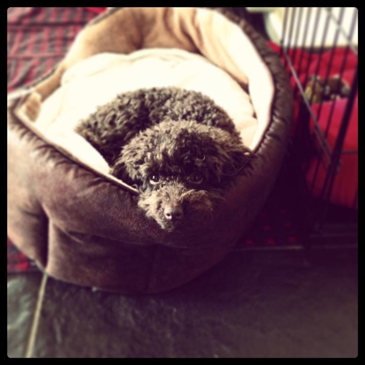 B1f8a3de 18a8 4b19 ab58 cf5d59787e5e