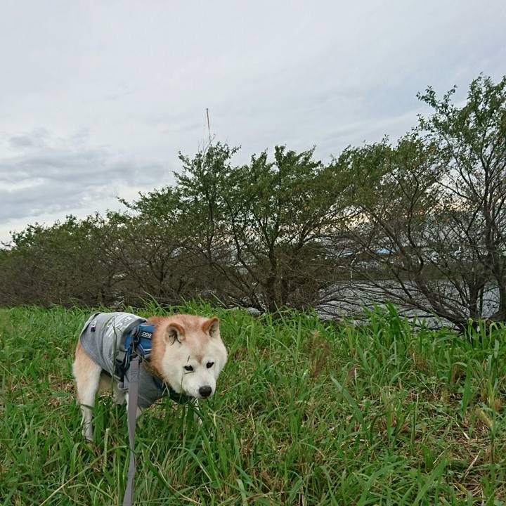 B1f9b647 d4b9 48df 896d 454d58b21b89