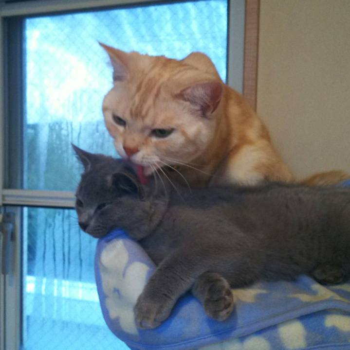 B1f9dad3 5637 4d10 b94a 2aa89c4c52ac