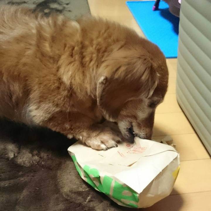 B1fb149e beb0 4652 bfae 1927ddd6ee39