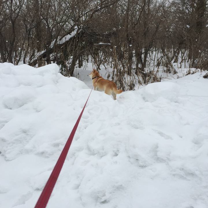 B1fbaf07 9ac7 408a ae5f 1125e201e98c