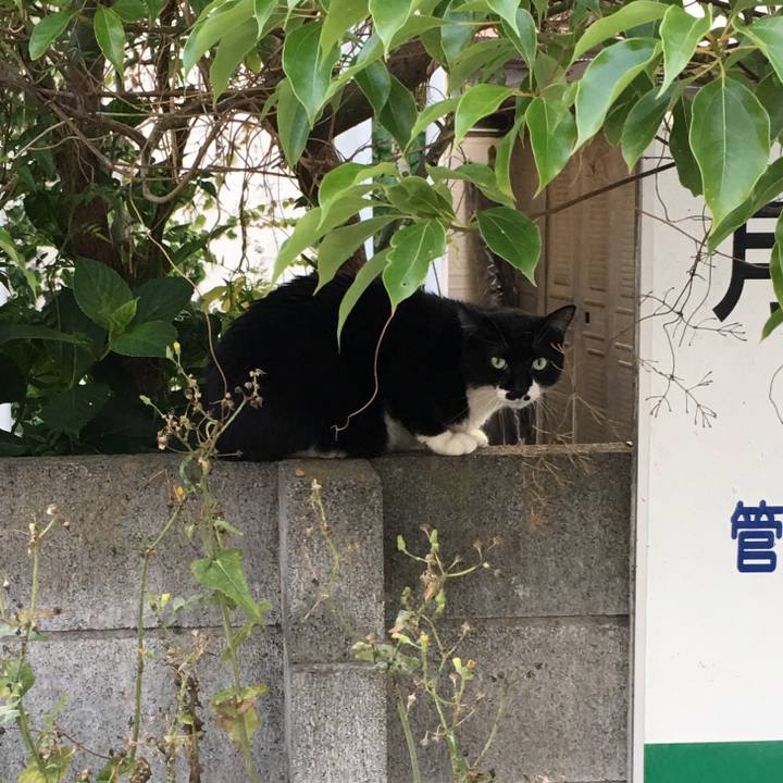 B1fc596a 36cd 4b7a a39a 2d2f7abf325b