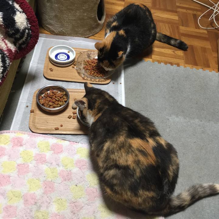 B1fd40fe c98b 4c3d 8701 d3deaec3ee7d