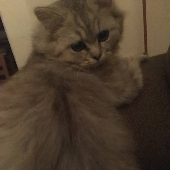 B1fd5182 442e 4ce5 92fb d9ba80abd4a6