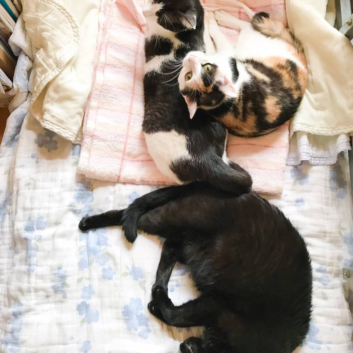 B1fe4170 1fdf 4dd7 8589 f47f555a942d