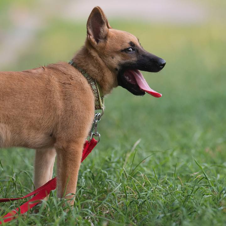 B1fe5bac af89 4bdc a179 5101ffddc379