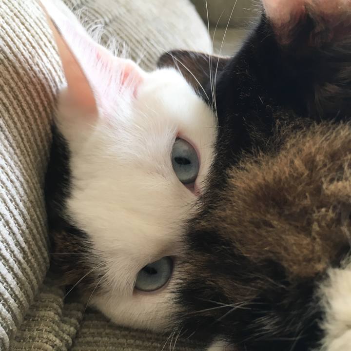 B1fe60e3 a12e 4136 a860 2106d9708c80