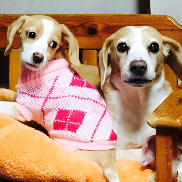 B1ff289e 84cd 4661 9cc9 6848afcf9a04