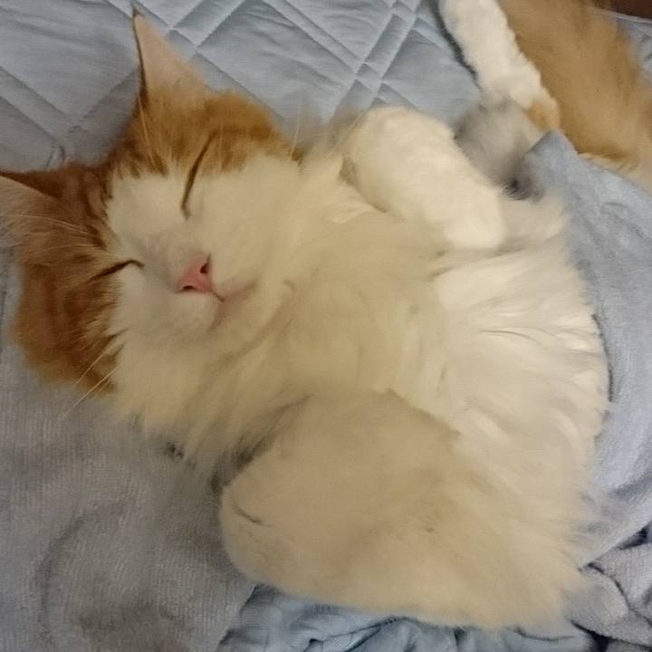 B1ffd358 6541 4043 abe2 5a1e555fcb6e