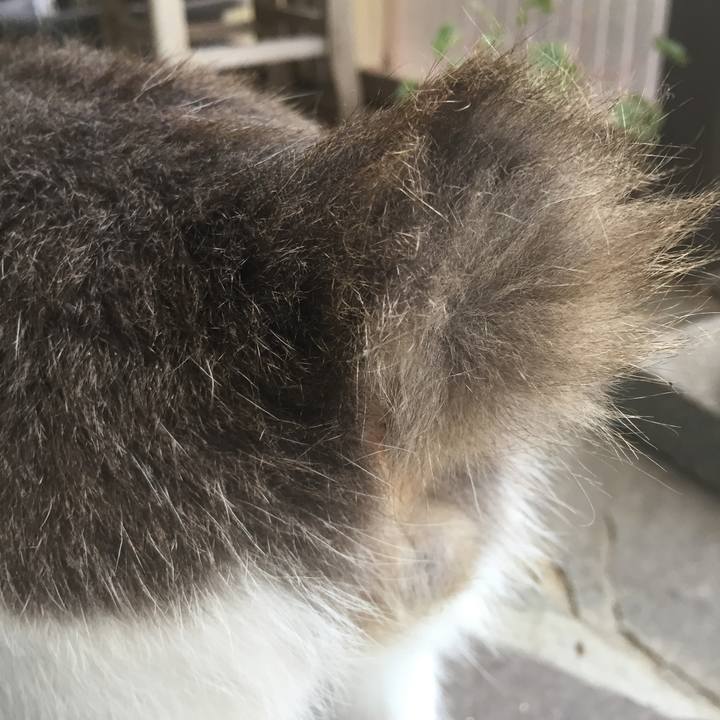 B20007bc 75a8 4e85 a7b1 fb3e3726eea1