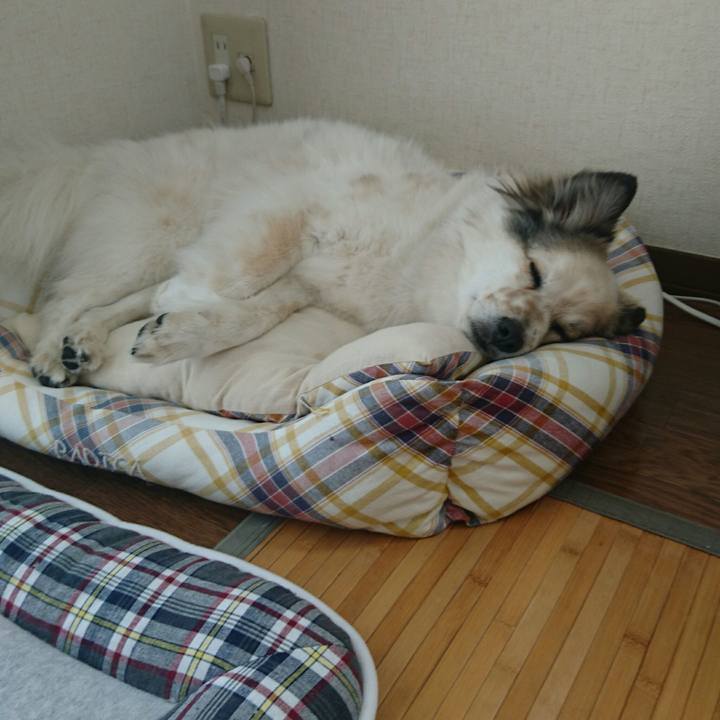 B2003761 89a6 4eaa 882d 72760e61d4ae