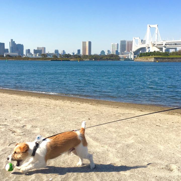 B200830b cf67 4645 abe9 ff80243b17fb