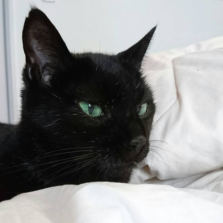 B200ceb2 81e8 4676 a370 72611e4fca7e